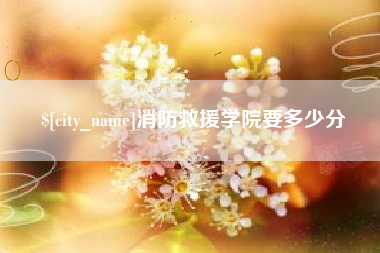益阳消防救援学院要多少分