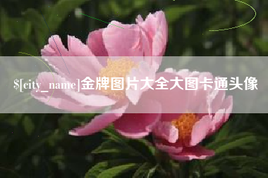 益阳金牌图片大全大图卡通头像
