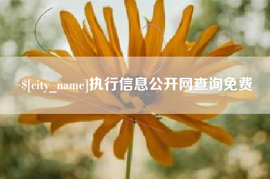 益阳执行信息公开网查询免费