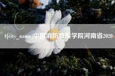 益阳中国消防救援学院河南省2020