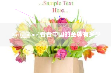 益阳看看中国的金牌有多少